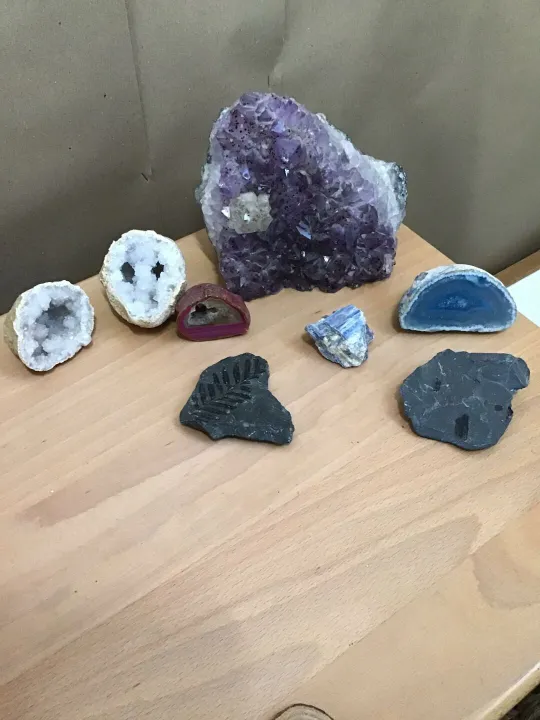 Fossils and crystals