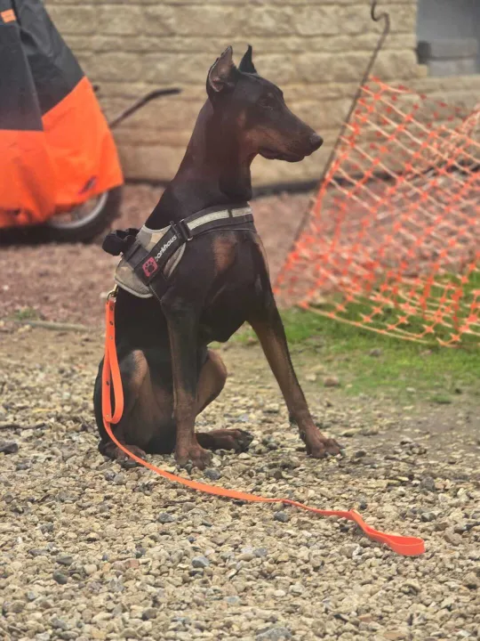 Whatsapp Image 2025-11-03 At 08