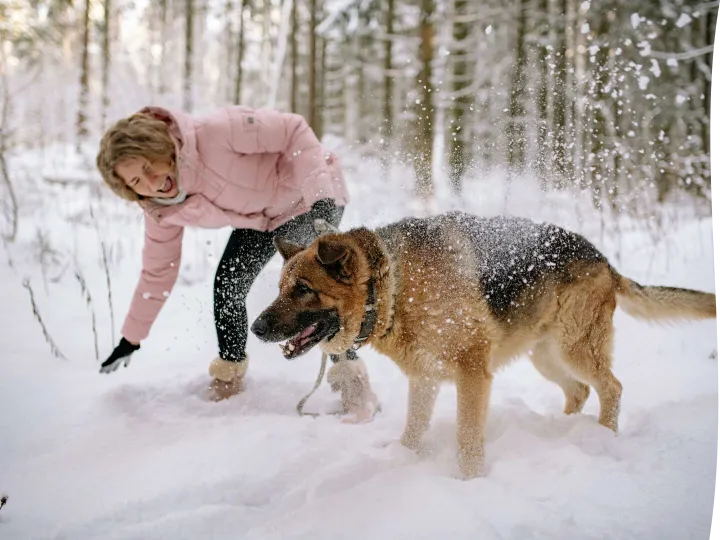 Woman Playing with a Dog on Snow Covered Ground