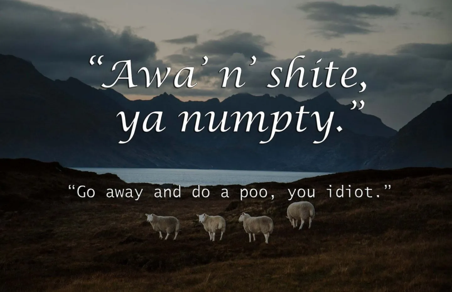 Awa N Shite