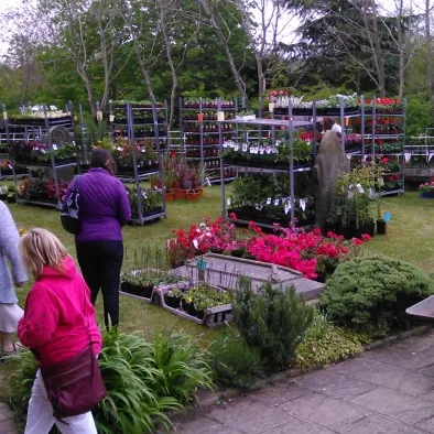 2015 Plant sale