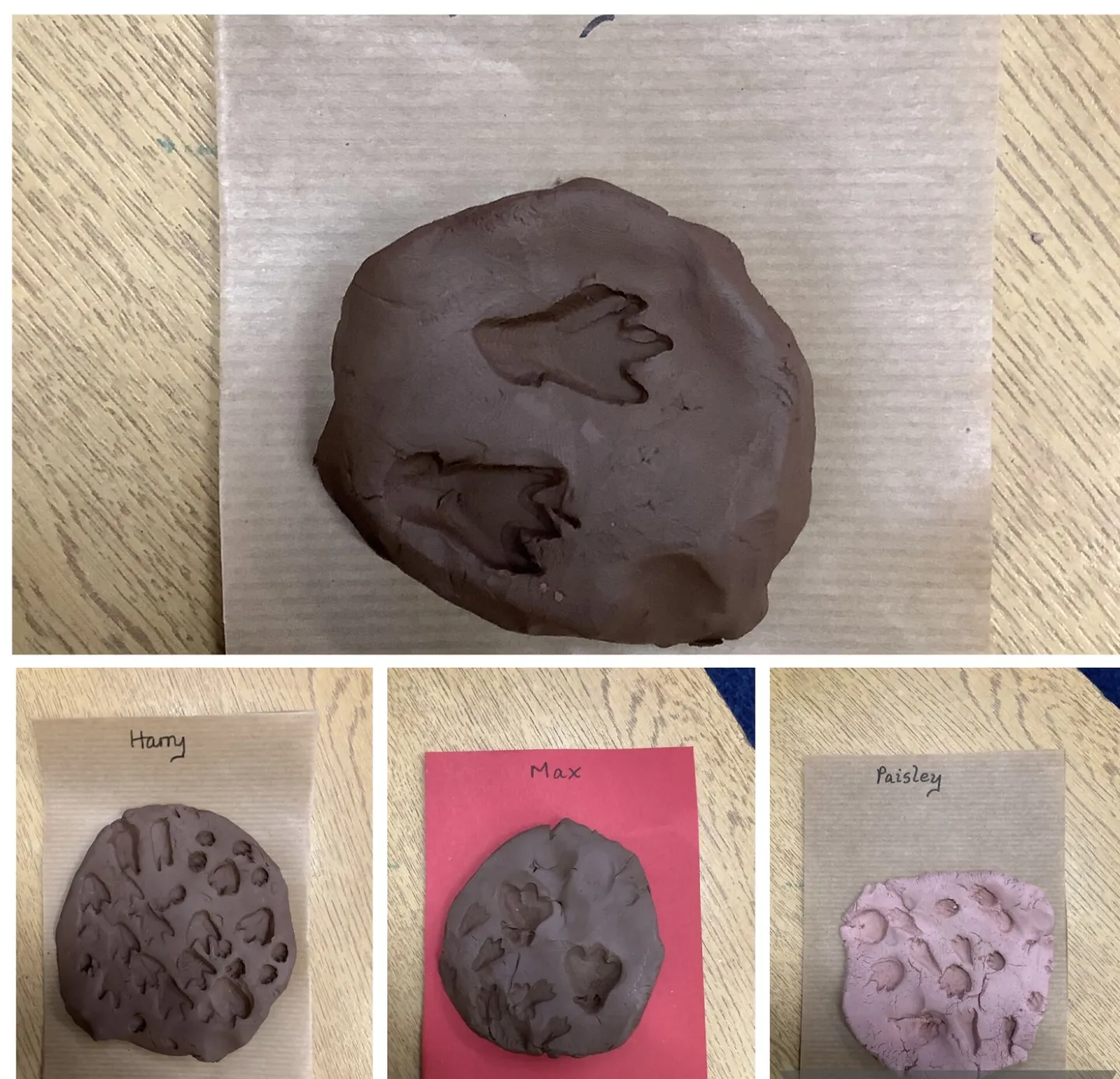 Fossils