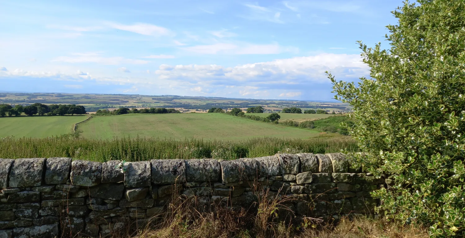 Heavenfield3