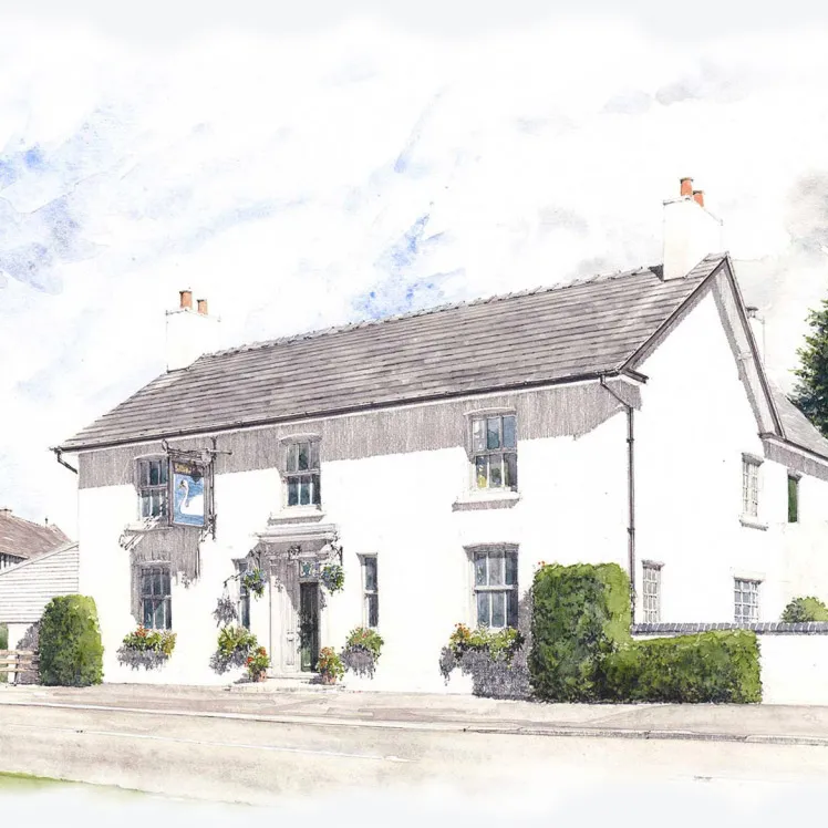 The Swan at Marbury Ilustration