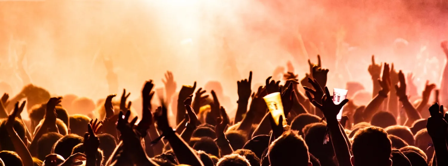 Concert Goers