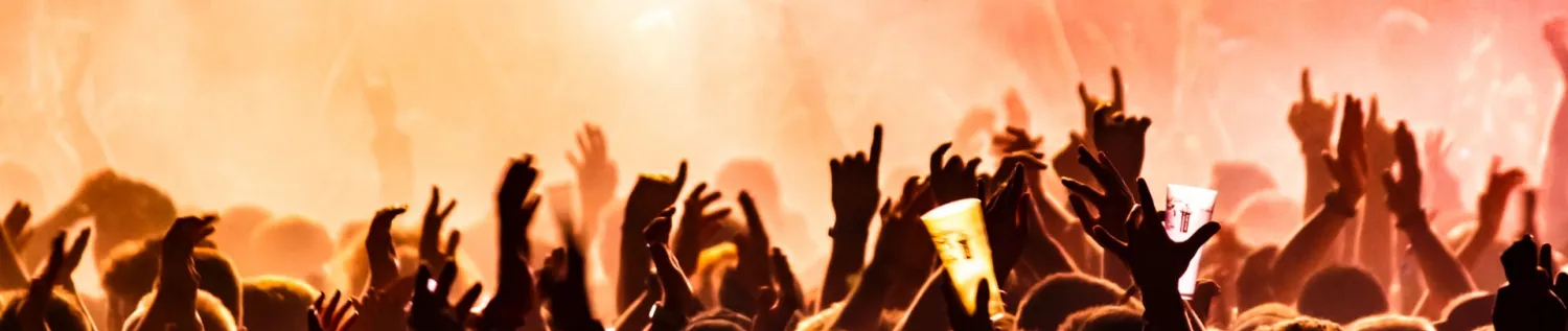 Concert Goers