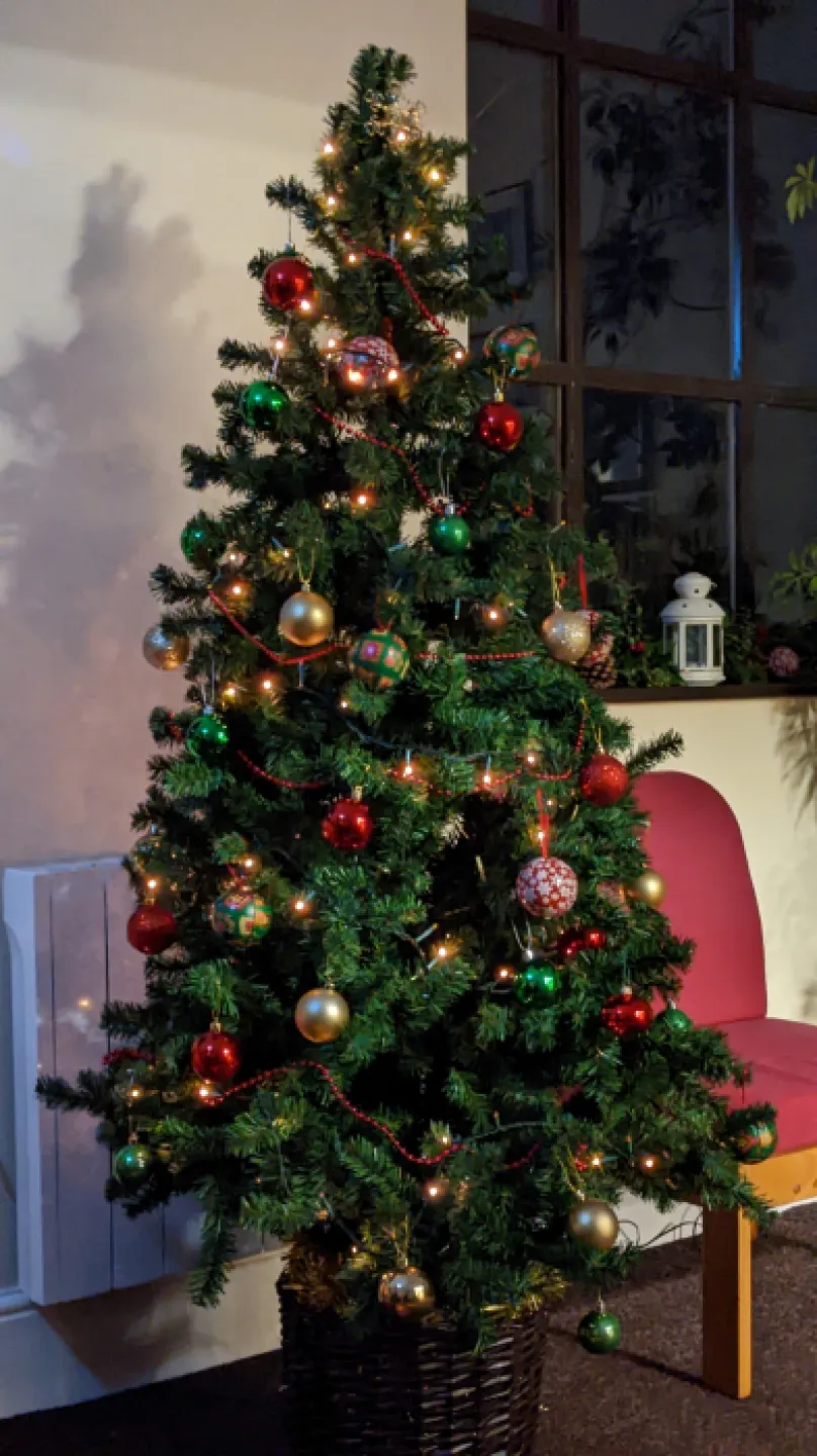 Tree