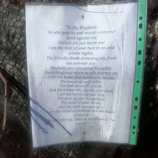 Poem at Ox heys