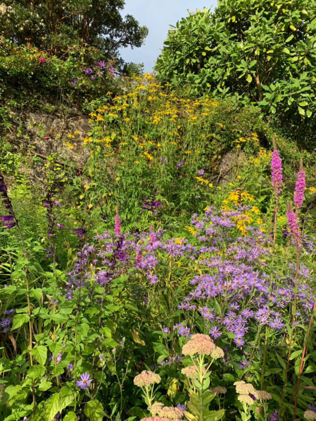 Colour Pallette