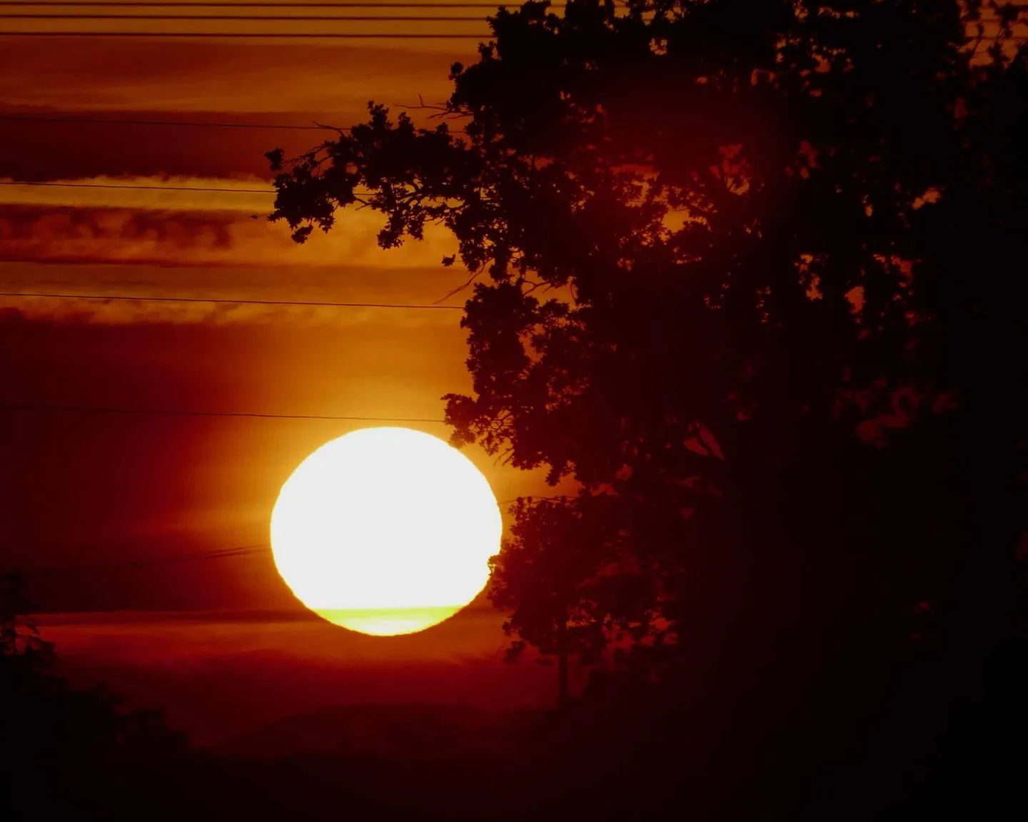 heatwave