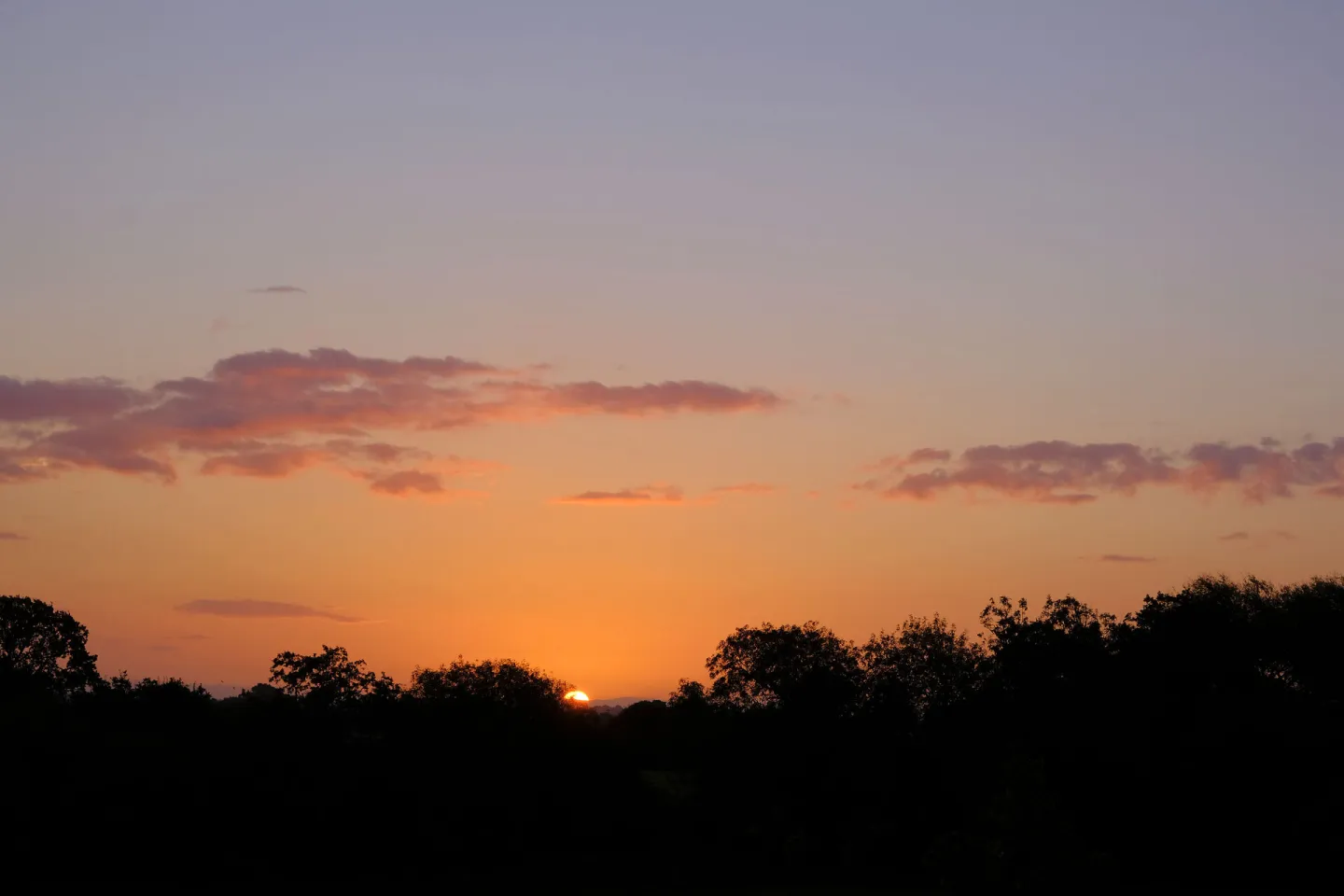 Cheshire Sunrise