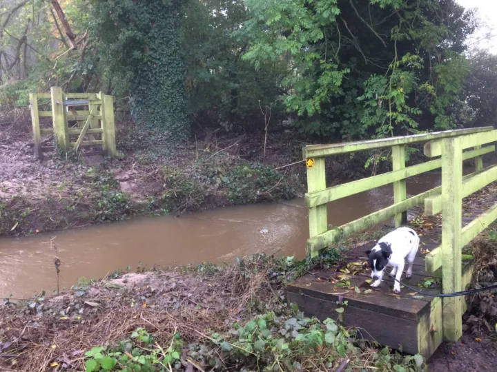 D4e8cbd4 9704 4281 b029 59907dd6b553