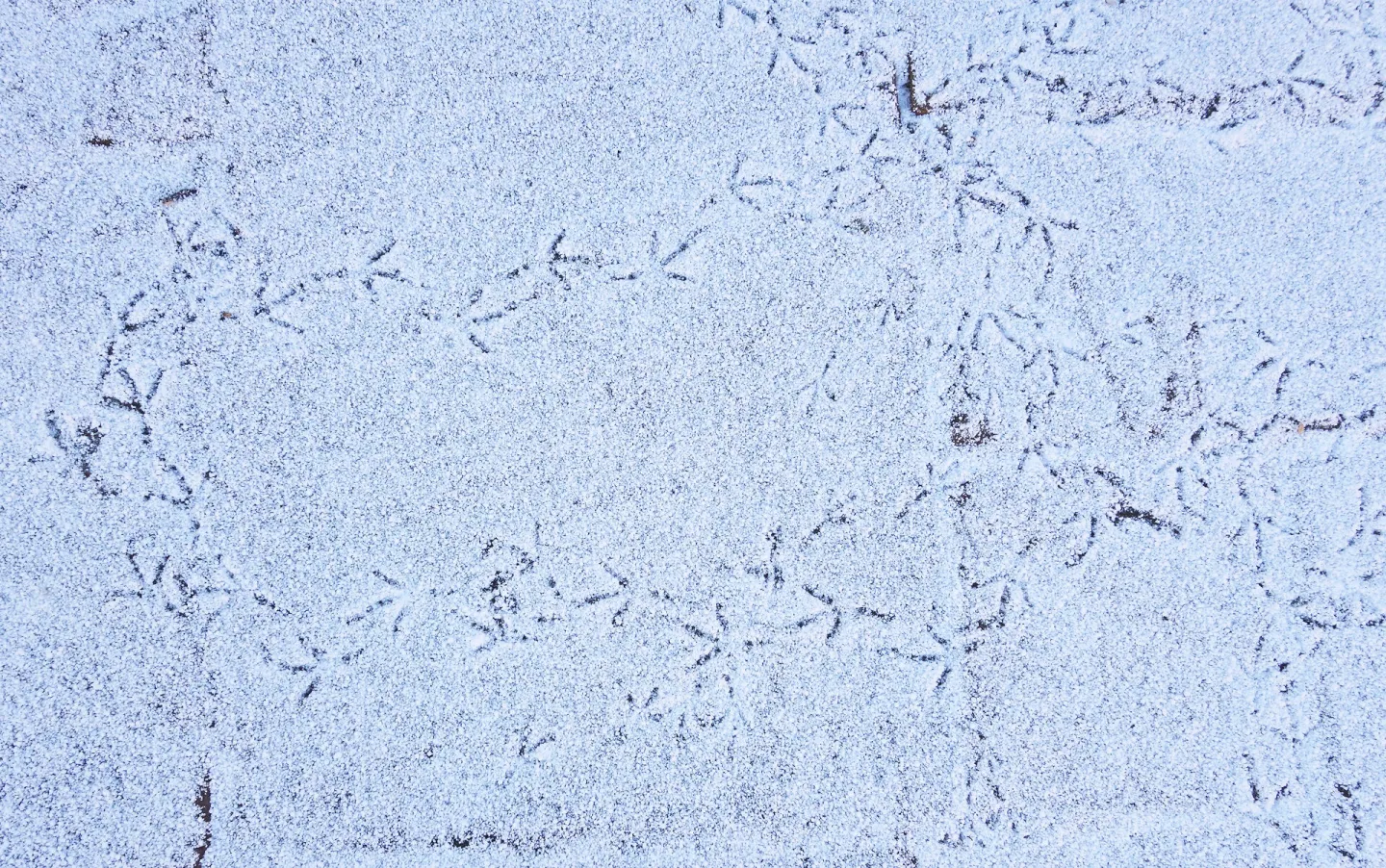 RR Making Tracks S02698