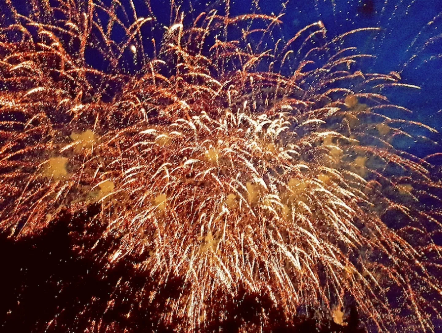 Fireworks at PoP 2106