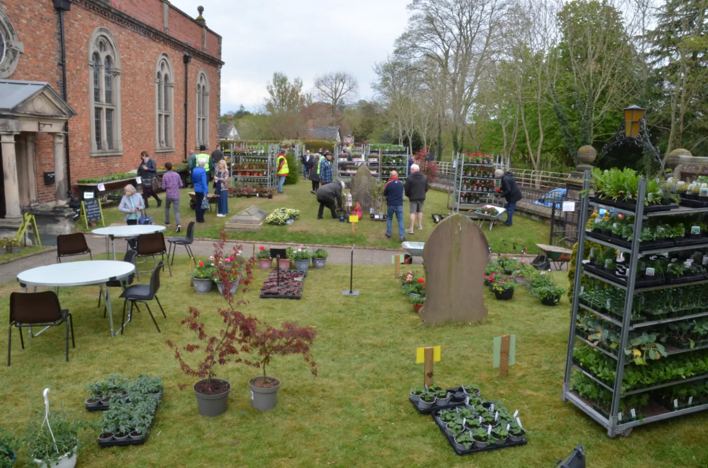 PlantSale2022 05 01 32