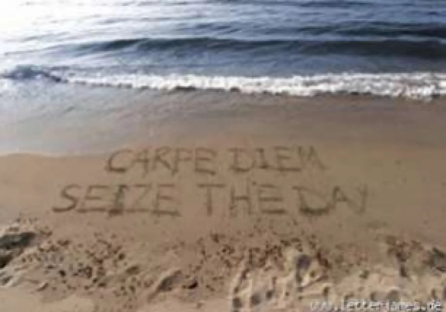 Carpe Diem