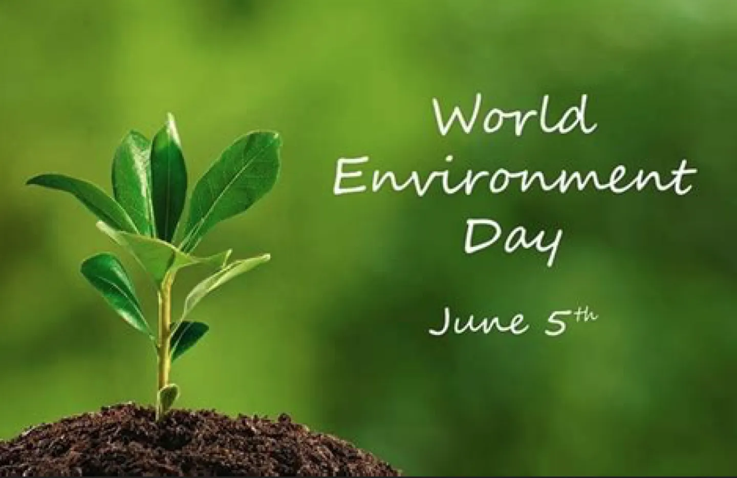 World Environment day