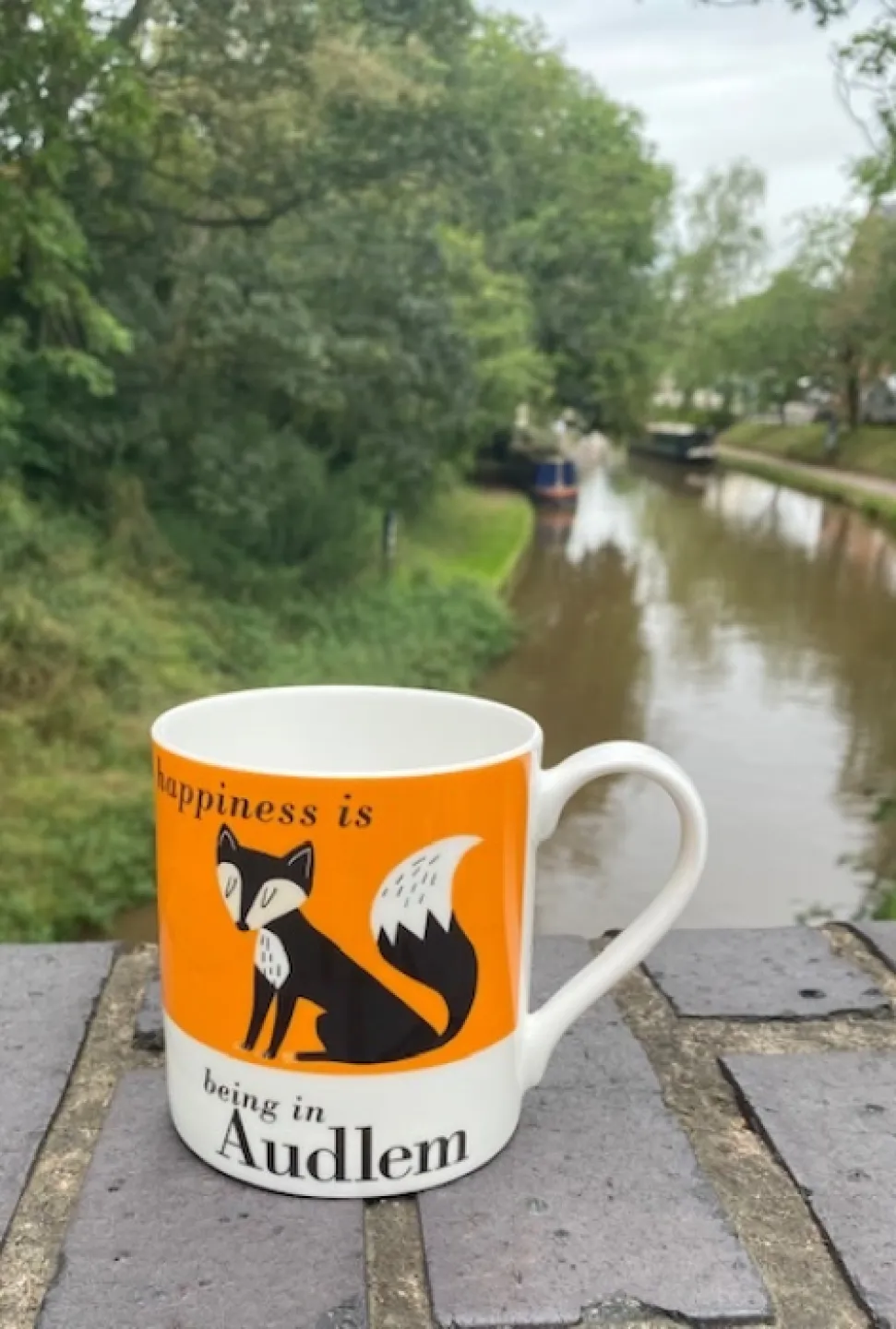 fox mug