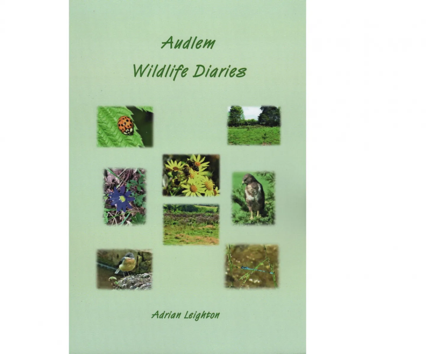 adrian wildlife diaries