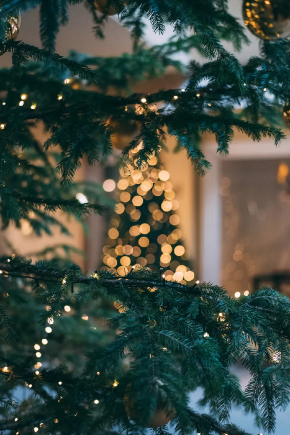 Xmas 2