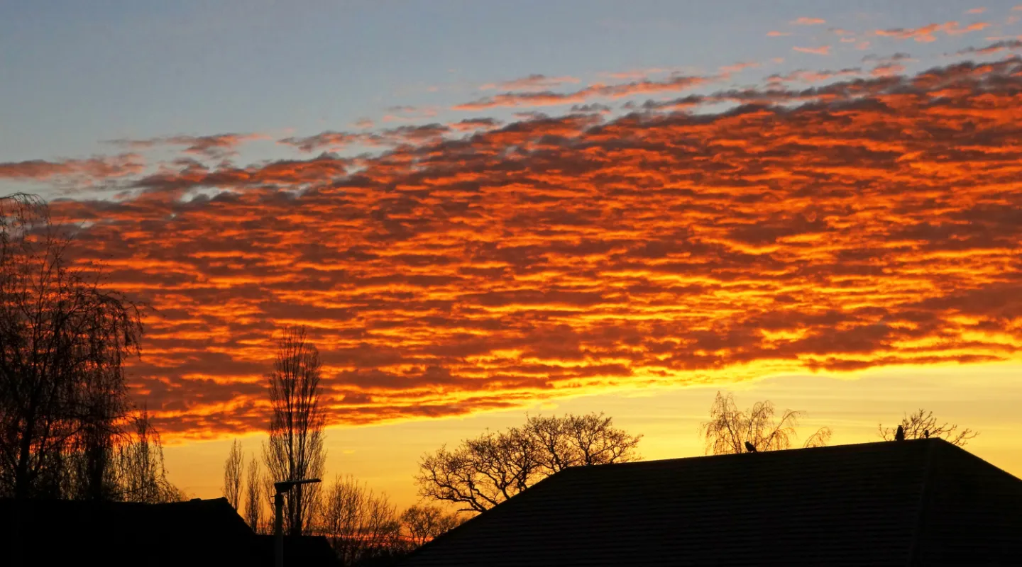 #R Band of Fire s01915