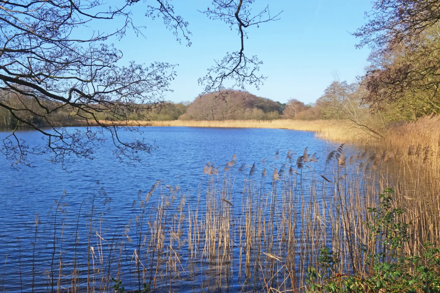 #R Ring of Bright Water s01945