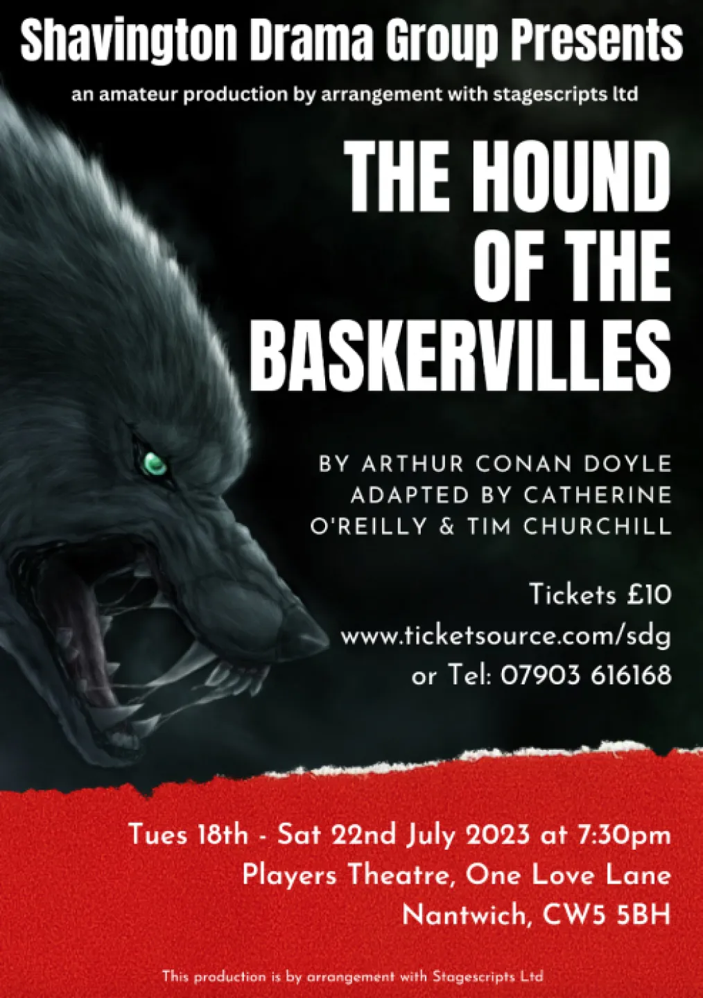 Hound of Baskervilles