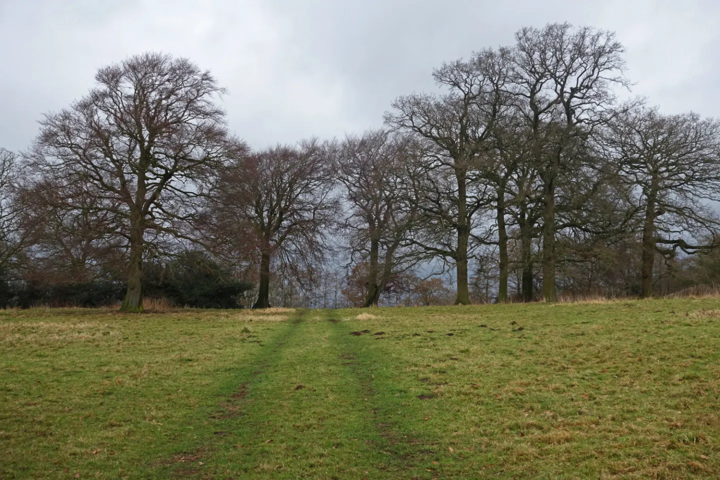 #R Outward Bound s01986