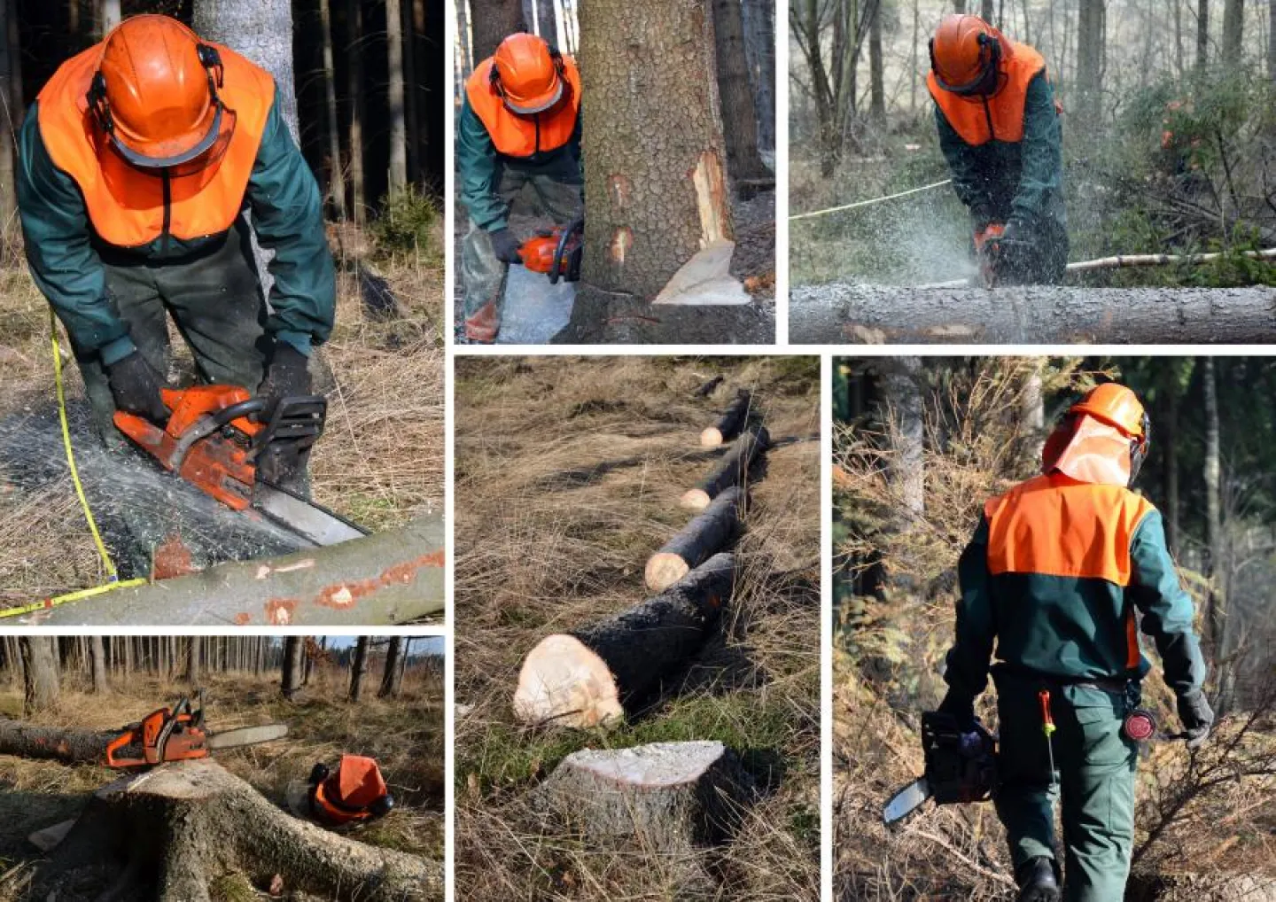 Woodcutter forest work chainsaw composite set