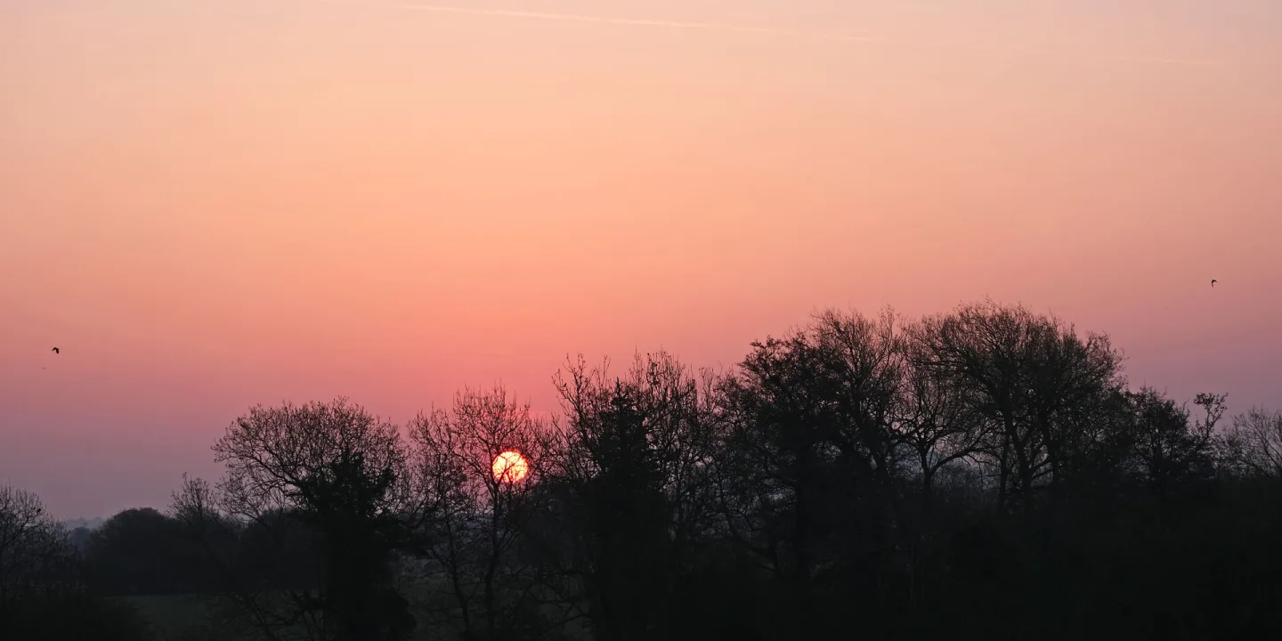 RR by Dawn's Early Light F7038