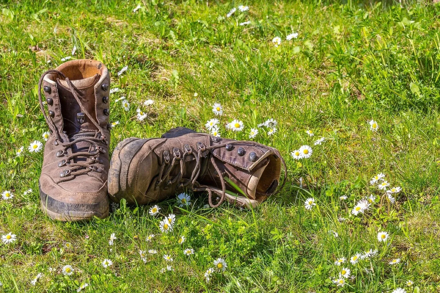 Hike, shoes, nature, walking boots, outdoor, alpine boots, walking boots, walking boots, walking boots, walking boots, walking boots