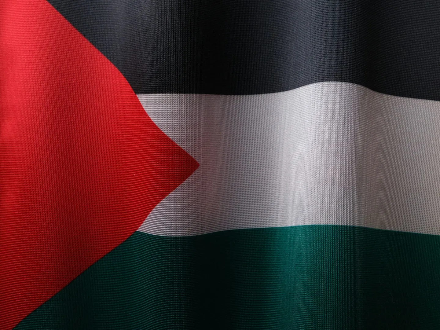 High-resolution close-up of the Palestinian flag