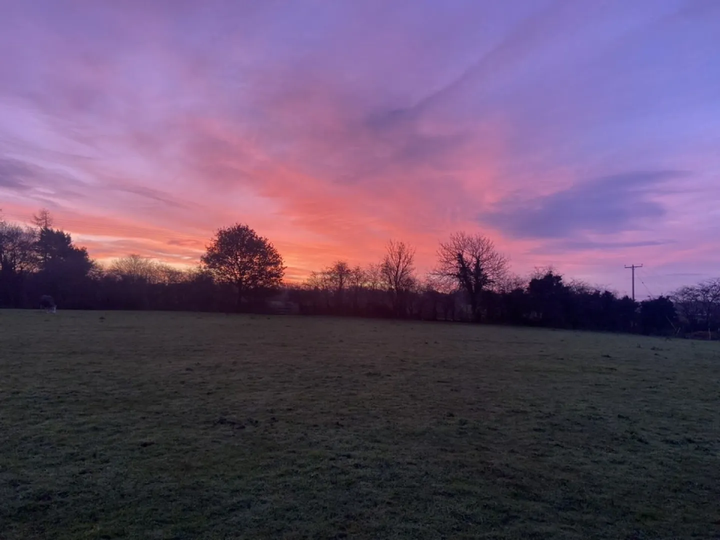 01451c24-7757-41e6-Abc5-535708bae9c8_1_105_c