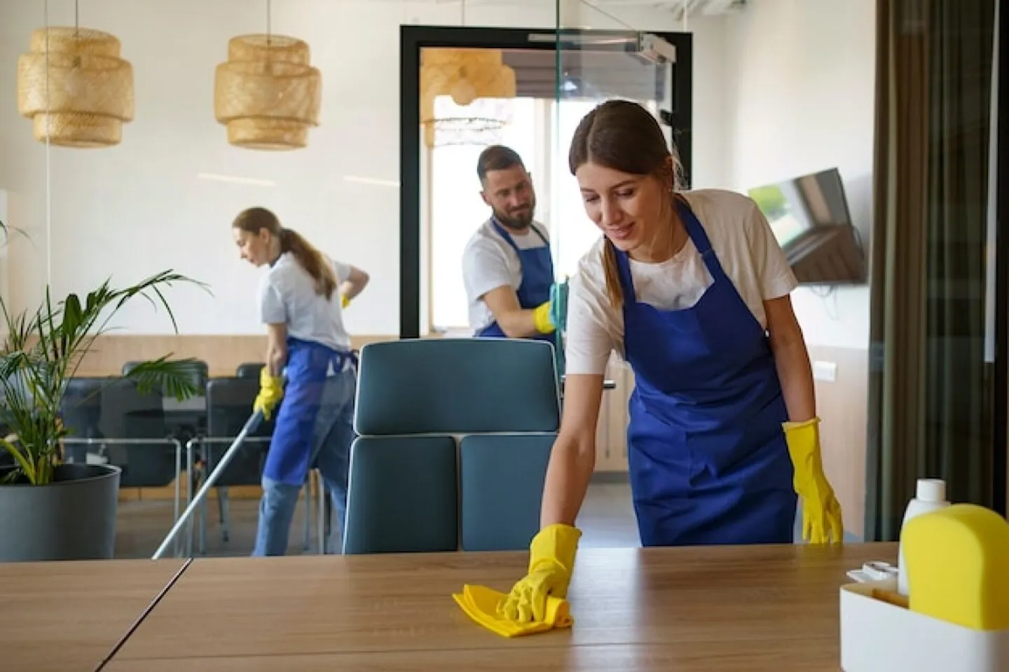 Professional cleaning service people working