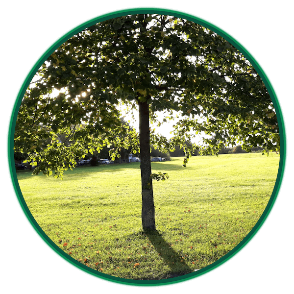 Halebank Parish Council Logo