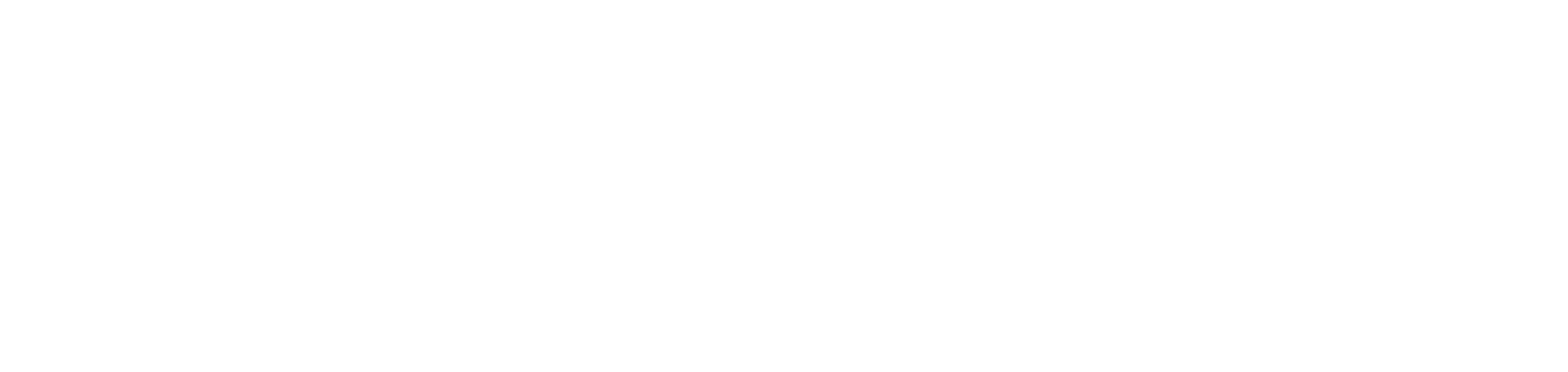 Shropshire Web Team Logo