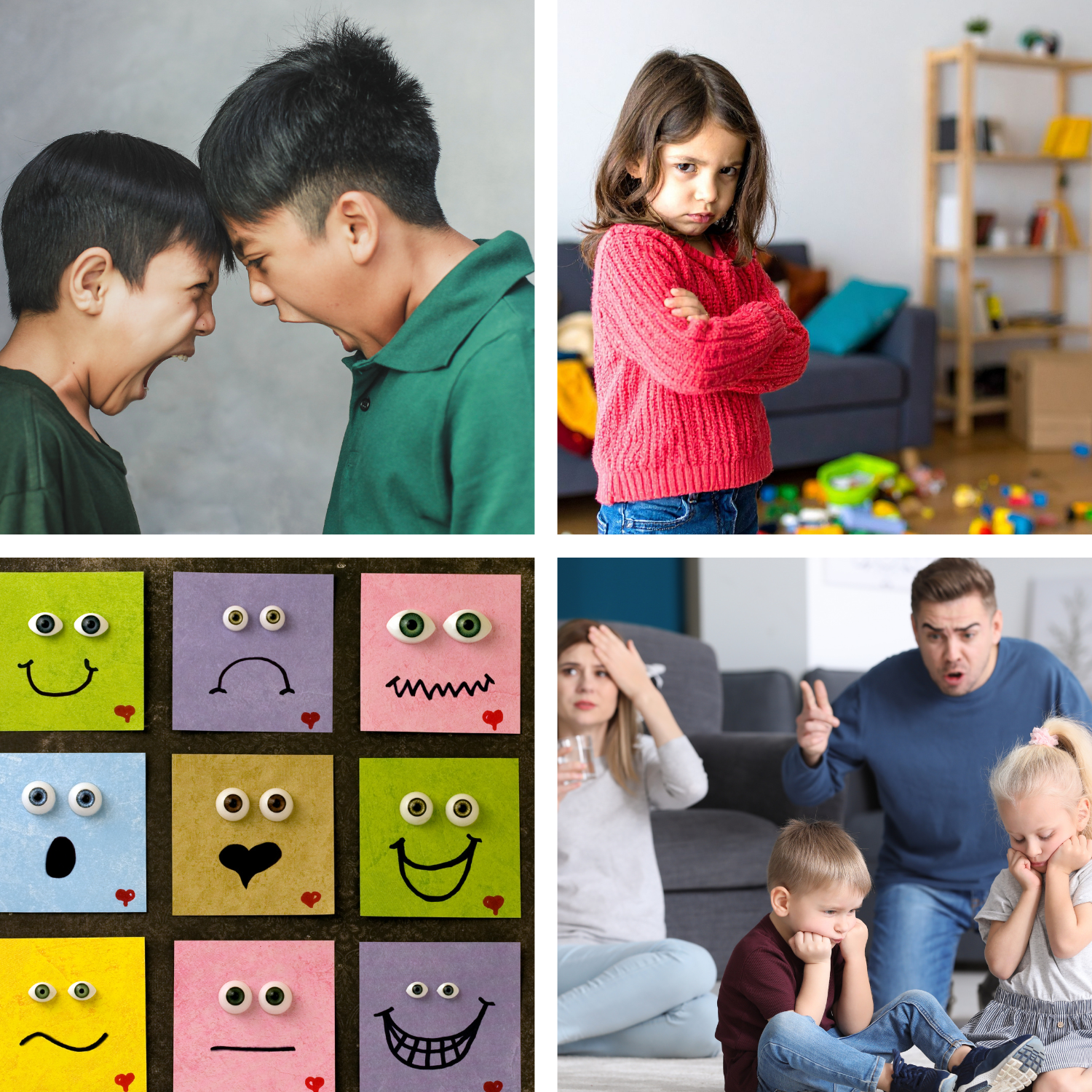 Emotional Regulation and Behaviour (1)