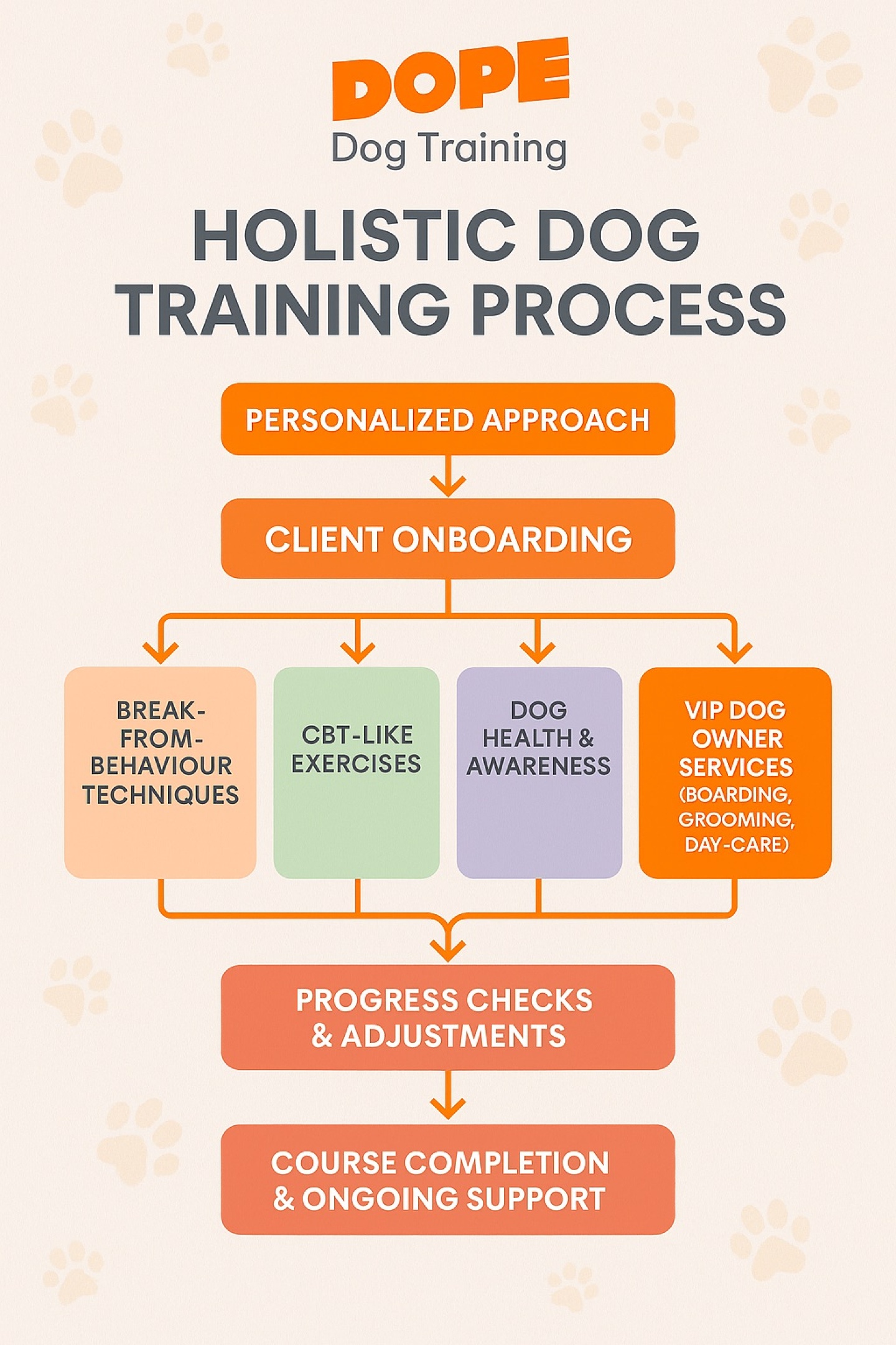 The D.O.P.E holistic dog training process, from onboarding to ongoing support