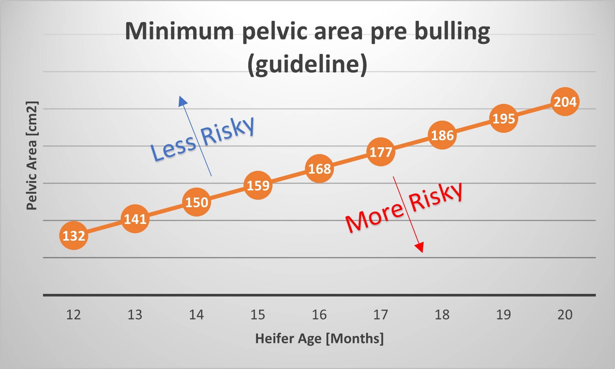 Figure 1: Guideline to the minimum pelvic area pre bulling
