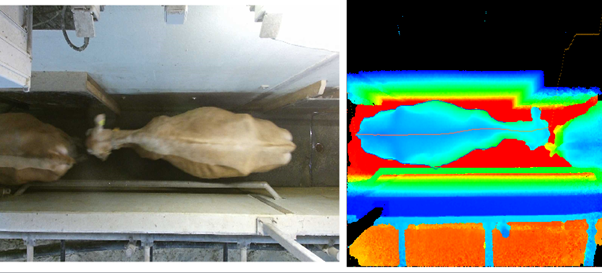 Figure 1 : RGB and 3D depth image taken in gate after milking initiated by the reading of the cows eartag