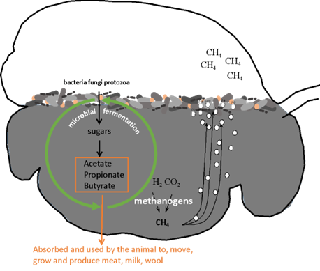 Image 2 from the paper Balancing ruminant food security and climate change