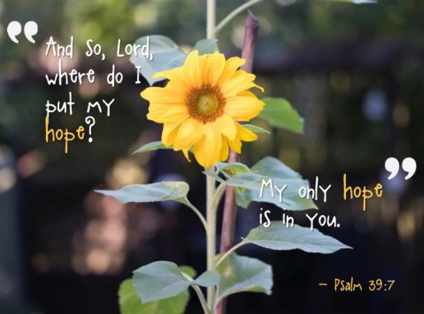 Psalm 39 v7
