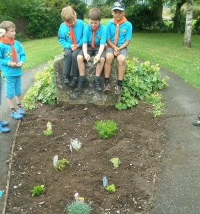 Cubs 1
