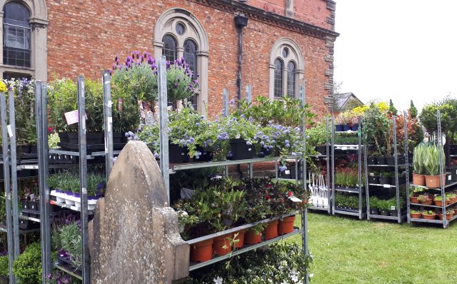 plantsale20190503_173250