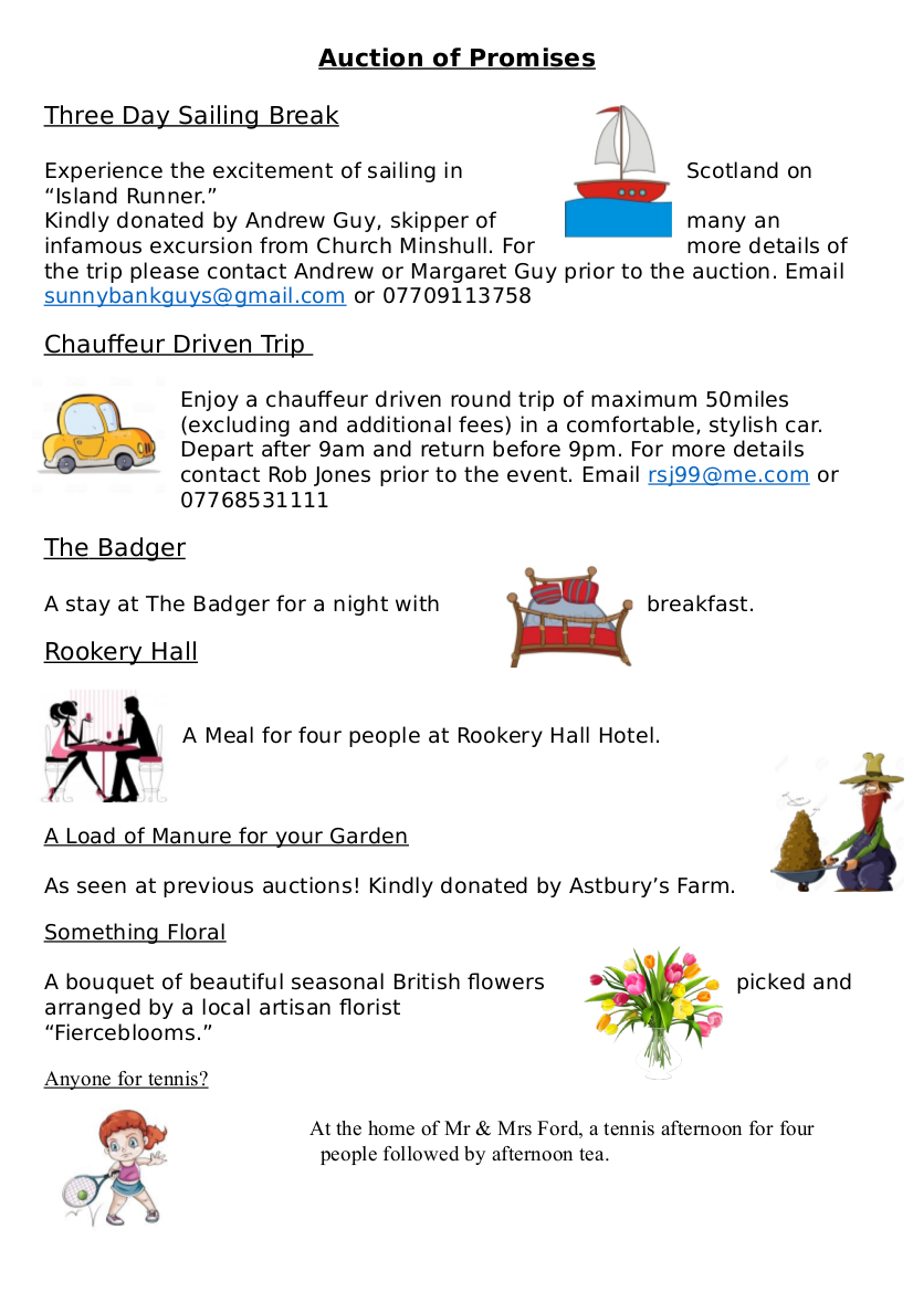 Auction of Promises-pdf