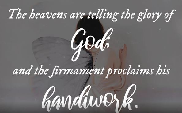 Millie and Hope 08-03-2021