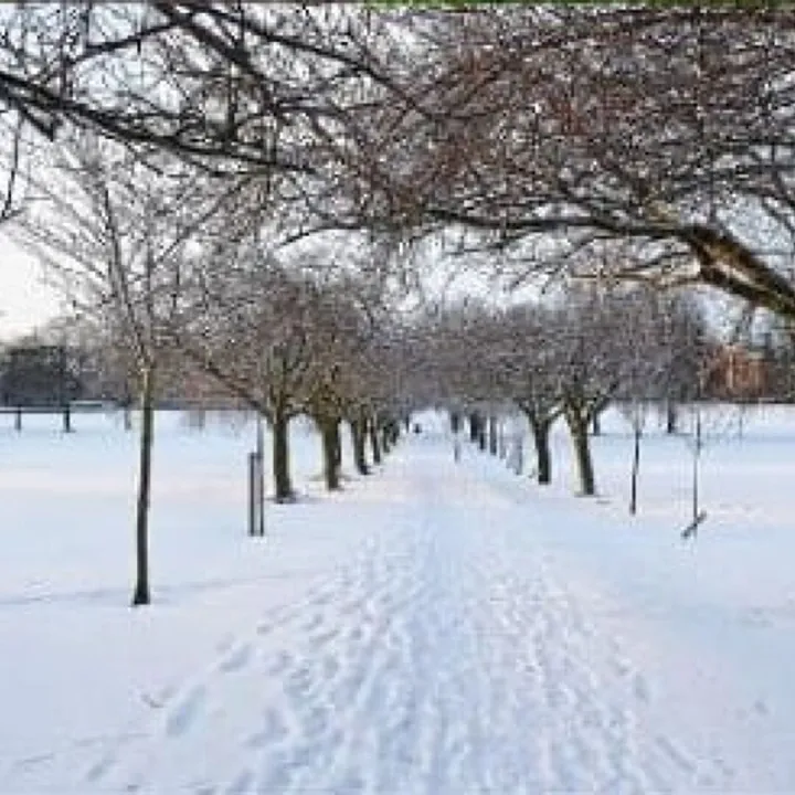 Winter Path