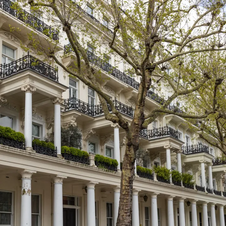 White stucco townhouses with balconies behind plane trees