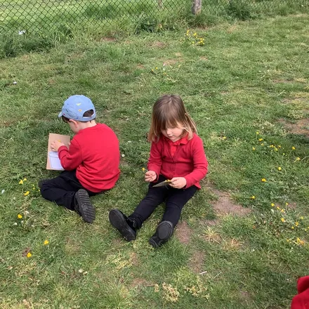 Img_8589