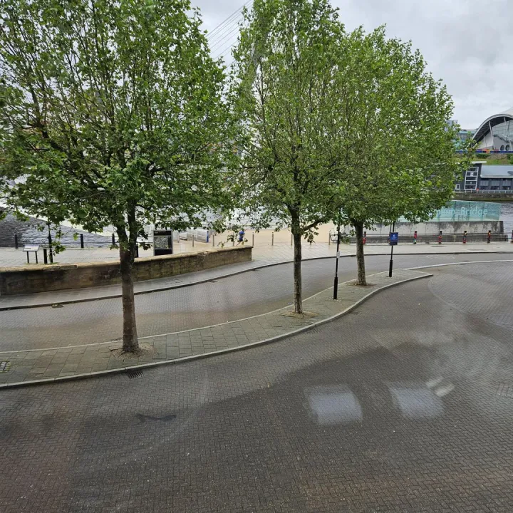 Newcastle 14